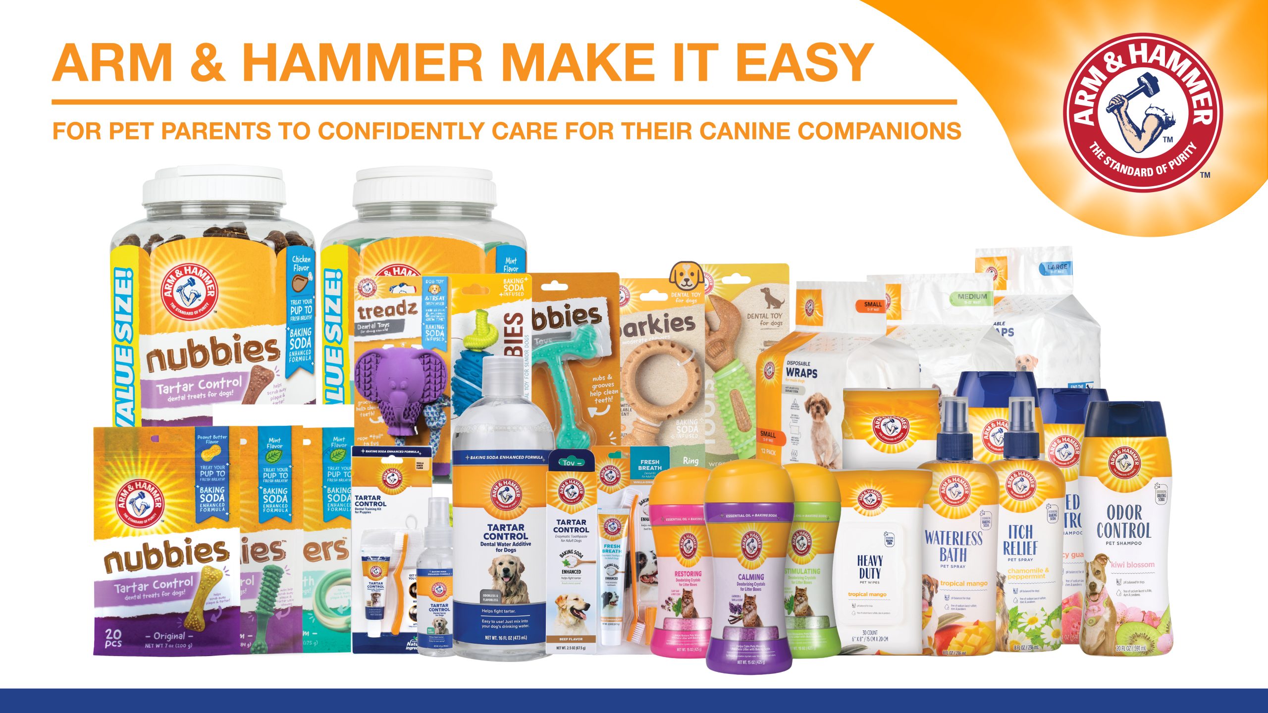 banner-website-anh